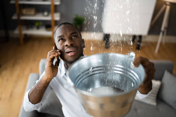 Best Water damage restoration cost  in Quartzsite, AZ