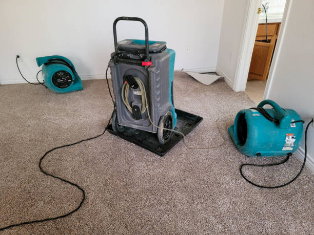 Best Local water damage restoration  in Quartzsite, AZ