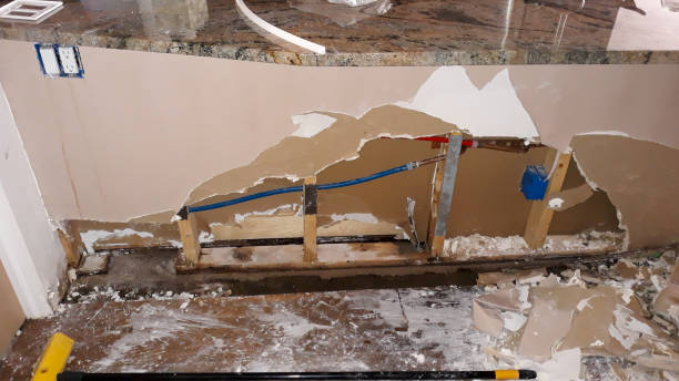 Best Water damage cleanup near me  in Quartzsite, AZ