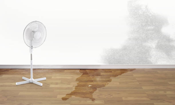 Best Flooded house restoration  in Quartzsite, AZ