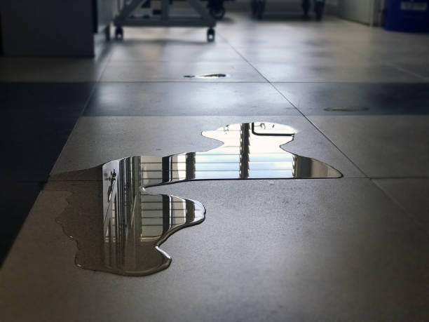 Best Commercial water damage restoration  in Quartzsite, AZ