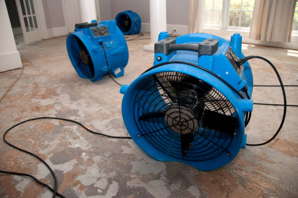 Best Basement water damage restoration  in Quartzsite, AZ