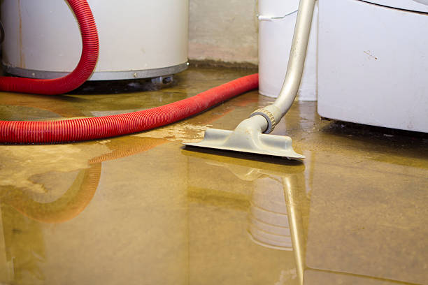 Best Flood restoration services  in Quartzsite, AZ