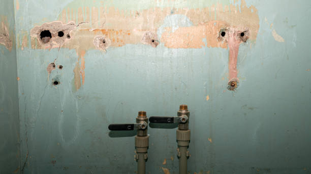 Reliable Quartzsite, AZ Water damage restoration Solutions