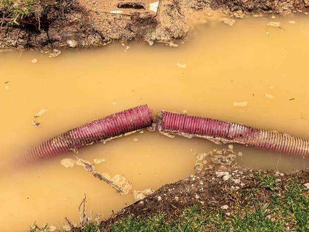 Best Water damage restoration company  in Quartzsite, AZ