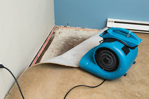 Best 24/7 water damage repair  in Quartzsite, AZ